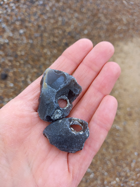A hand holding two hag stones against a pebble beach backdrop