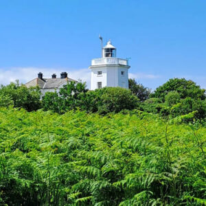 A view of Cromer Lighthouse with blue sky above and green foliage below.